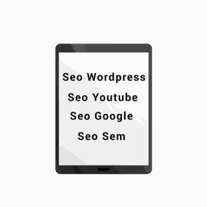 Seo WordPress, Seo Google